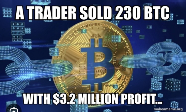 交易者卖出230BTC8个月内赚320万美元是否卖得太早