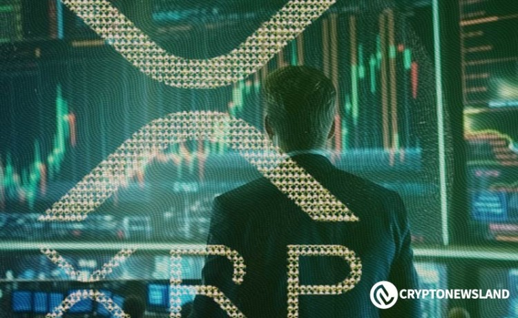 XRP 的图表表明多年牛市即将来临