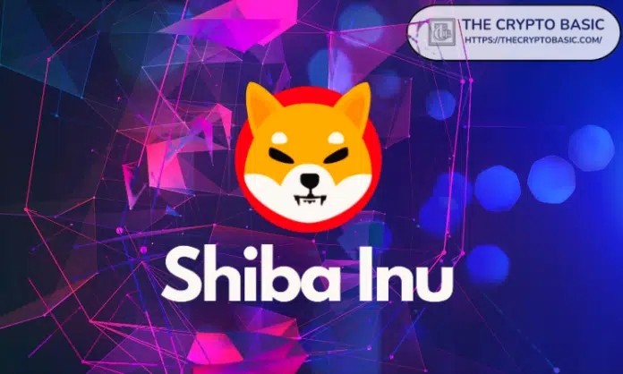 SHIBAINU揭示了SHIB投资者需要成为什么