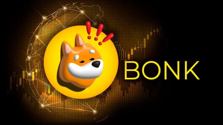 BONK热潮：波动中的模因币