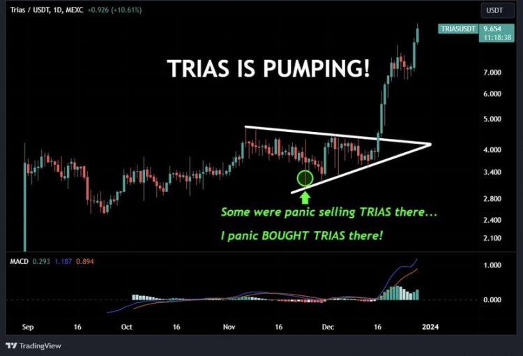 $TRIAS 今天触及10美元