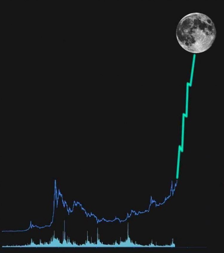 2024年顶级山寨币探索：Cardano、Polkadot、Chainlink