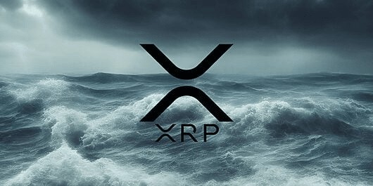 XRP价格预测2024至2050年