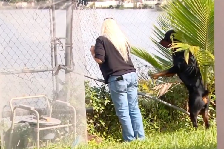 佛罗里达州妇女在拯救宠物罗威纳犬免遭鳄鱼袭击时受伤