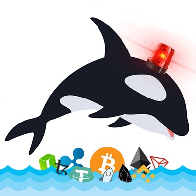 加密货币新动向:499 BTC神秘转移至币安