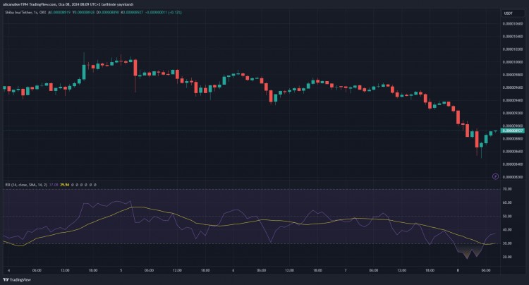 SHIBAINU开发团队宣布历史性代币销毁计划