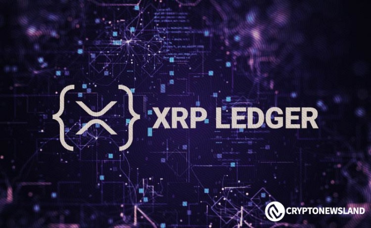 XRPLEDGER活跃账户数超过500万