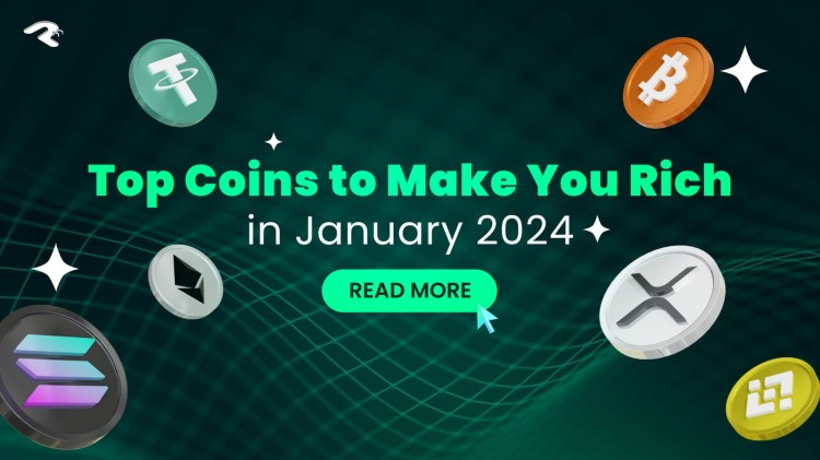迎接2024硬币浪潮!