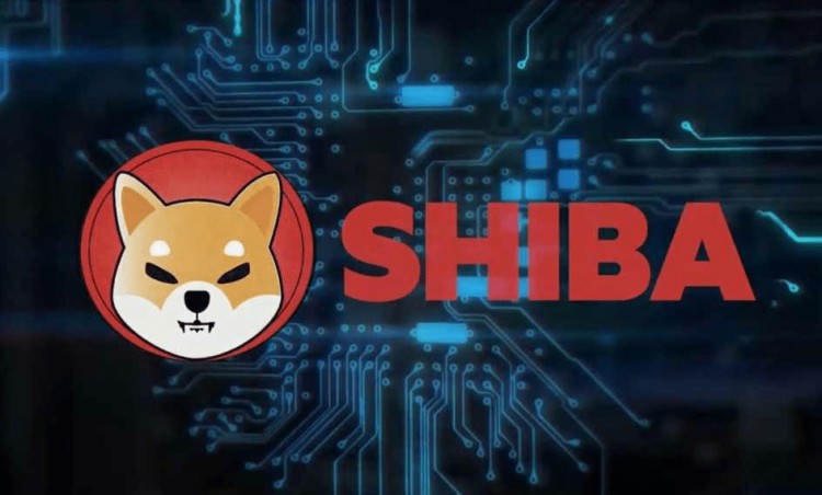 柴犬SHIB市场增持潜力