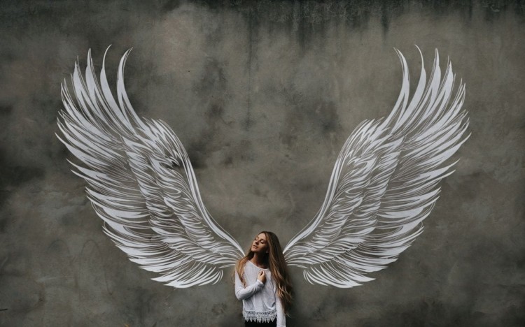 Dream of Wings: Finding Contentment in Humility