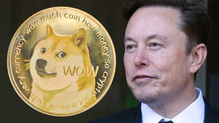埃隆·马斯克：我仍然持有大量狗狗币，SpaceX拥有大量比特币