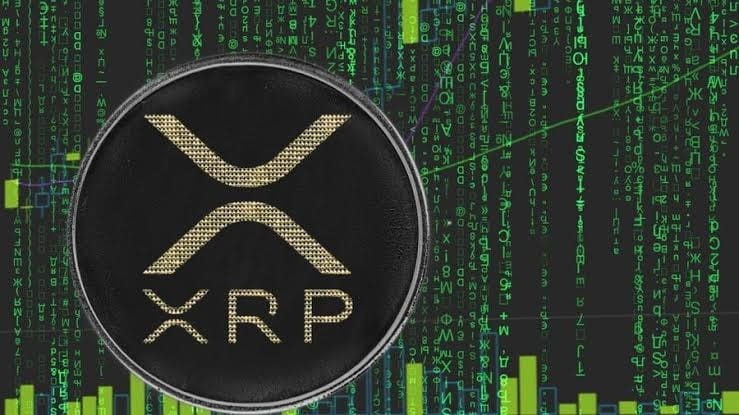 XRP 价格上涨预测 - 原因分析