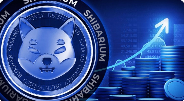 Shibarium 交易量激增，引入主要交易所支持