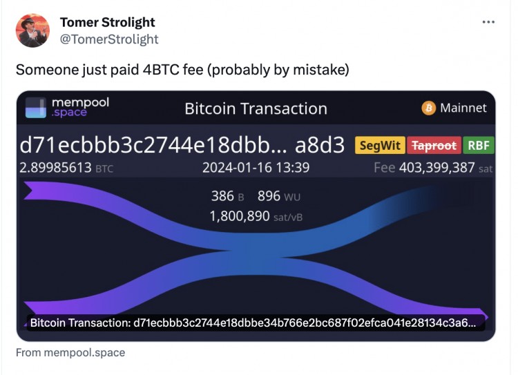 有人只转账 2.9 BTC，就损失了 174,000 美元的交易费用