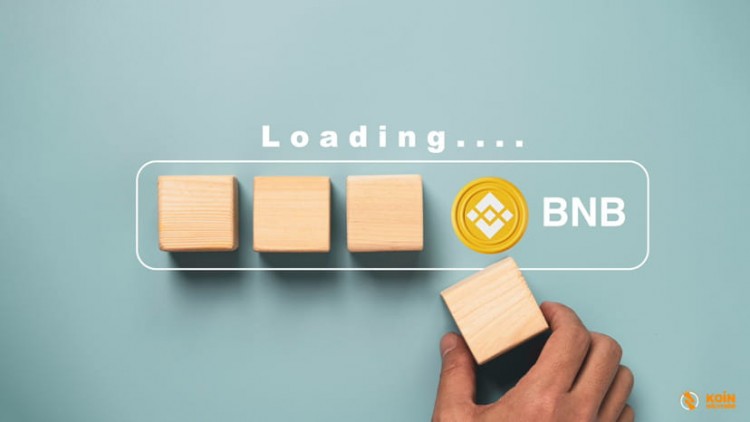 BNB Quarterly Token Burn Event