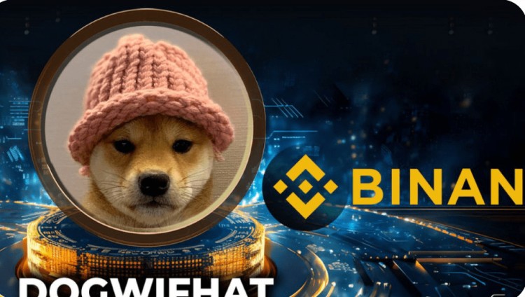 币安上线Solana Meme币Dogwifhat，市值达5亿美元，Coinbase将是下一个目标