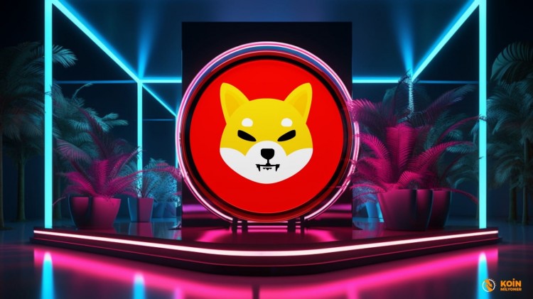 2024和2025年柴犬价格预测