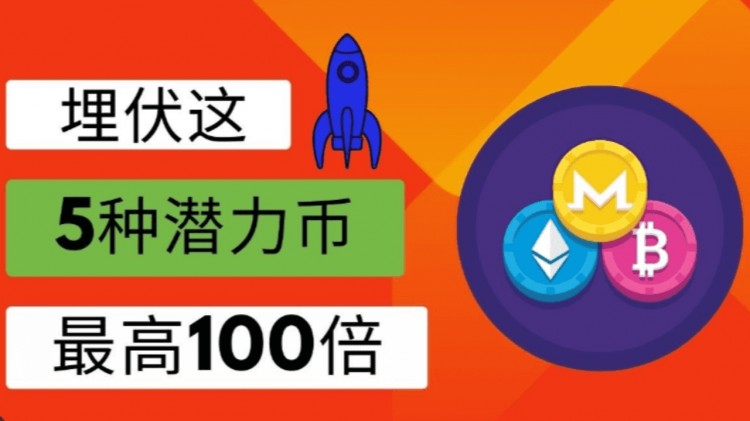 抢占100倍币，致富不再是梦