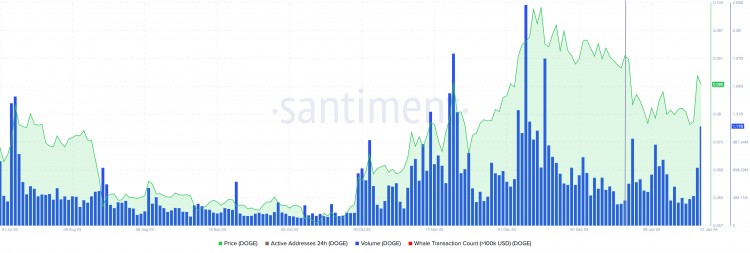 狗狗币专用支付账户上升