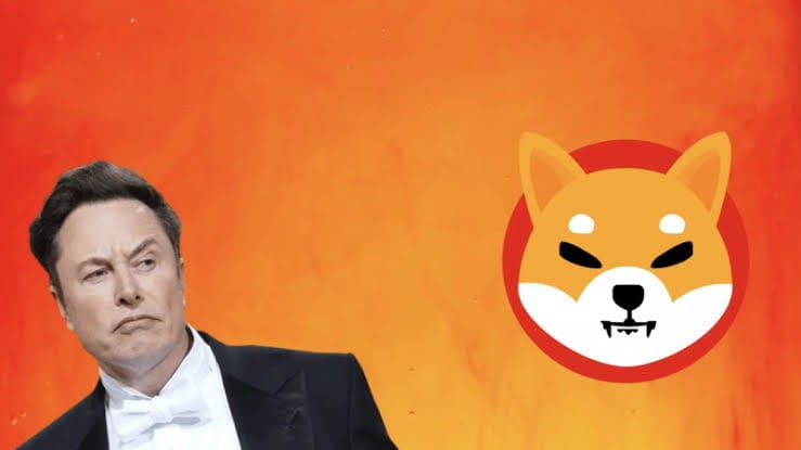 Shiba Inu：Elon Musk 的 X 会在支付功能中添加 SHIB 吗