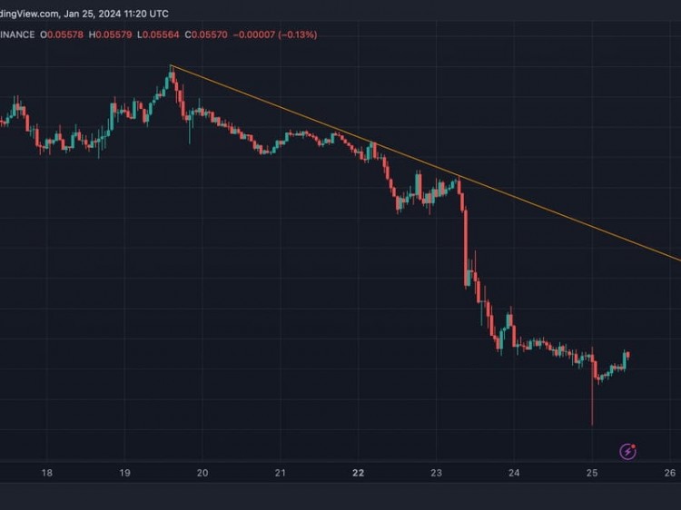 美洲先行者：比特币持有 4 万美元