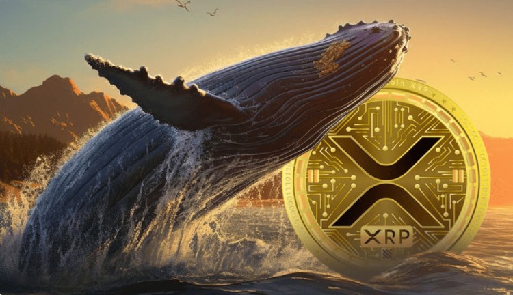 XRP鲸鱼震动市场价格回升