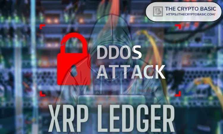 [加密市场分析师]XRP 账本遭受大规模 DDOS 攻击：详细信息