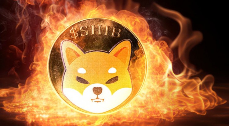 SHIB 火了，柴犬价格下一个