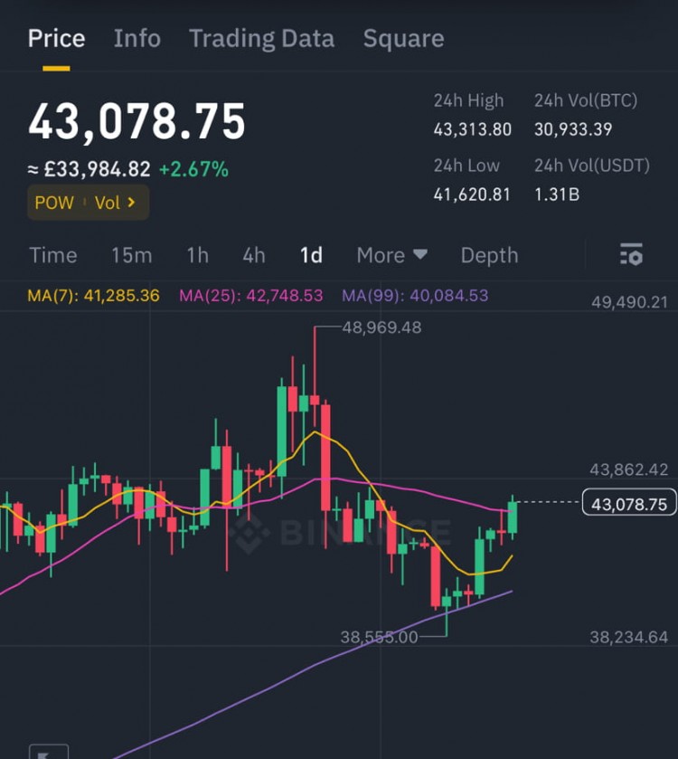 市场更新 - 比特币价格走势分析