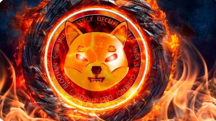 柴犬燃烧率逆势飙升219% 详情