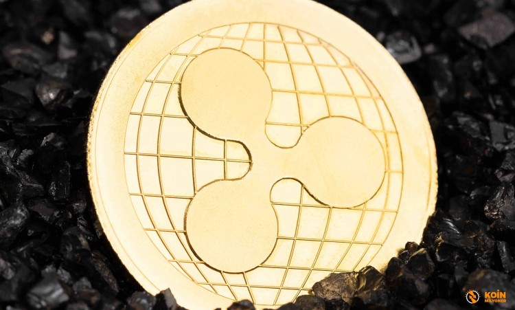 Ripple XRP 的市场分析和价格预测