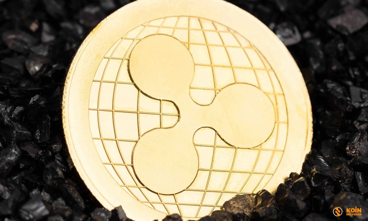 Ripple XRP 的市场分析和价格预测