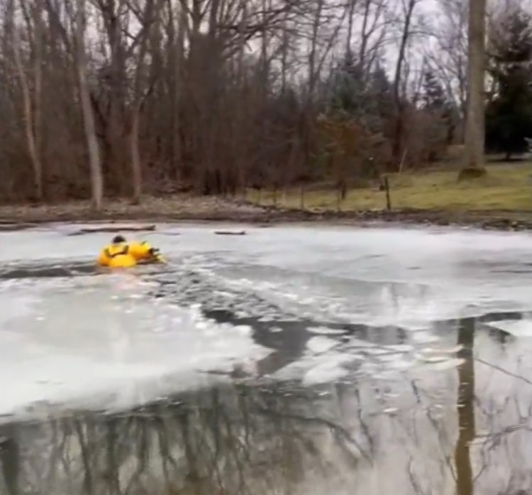 [伯特]伊利诺伊州消防队员解救了被困在冰冷池塘中30分钟的疲惫不堪的120磅重的狗