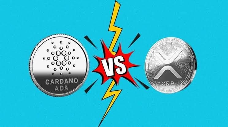 Ripple XRP 和 Cardano：哪个会先达到 1 美元