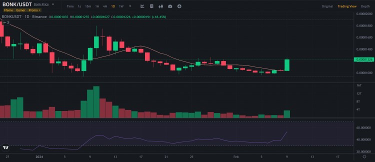 BONK 在短短 24 小时内增长了 17.52%：发生了什么？