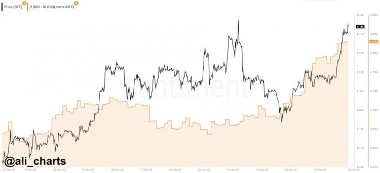 [克里斯]比特币鲸鱼去购物，购买了价值 61.6 亿美元的 BTC