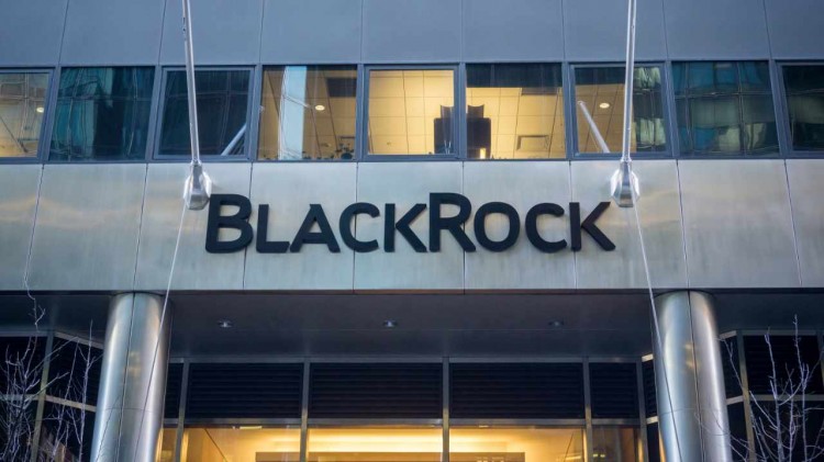 [加密市场分析师]Blackrock 的现货比特币 ETF 现持有 11,439 BTC
