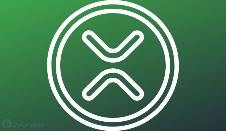 4 美元 XRP 创下历史新高？ — XRP 军队要求 Ripple 针对价格表现不佳采取行动