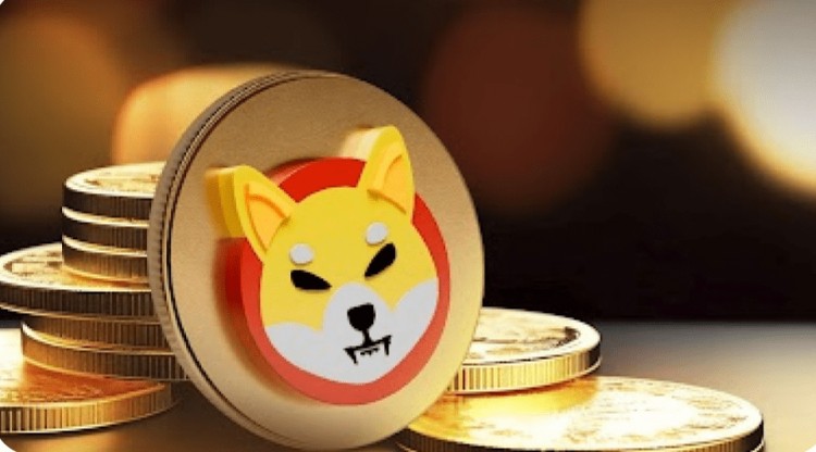 Shiba Inu 团队的推文让 SHIB 社区兴奋不已 原因如下