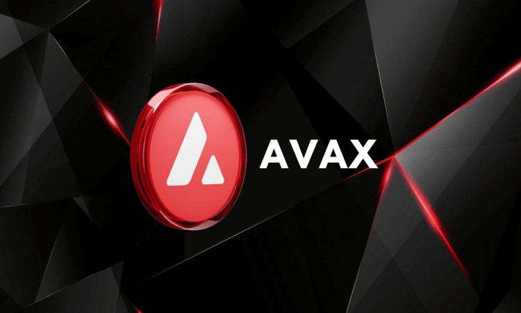 AVAX：下一次牛市的强大动力