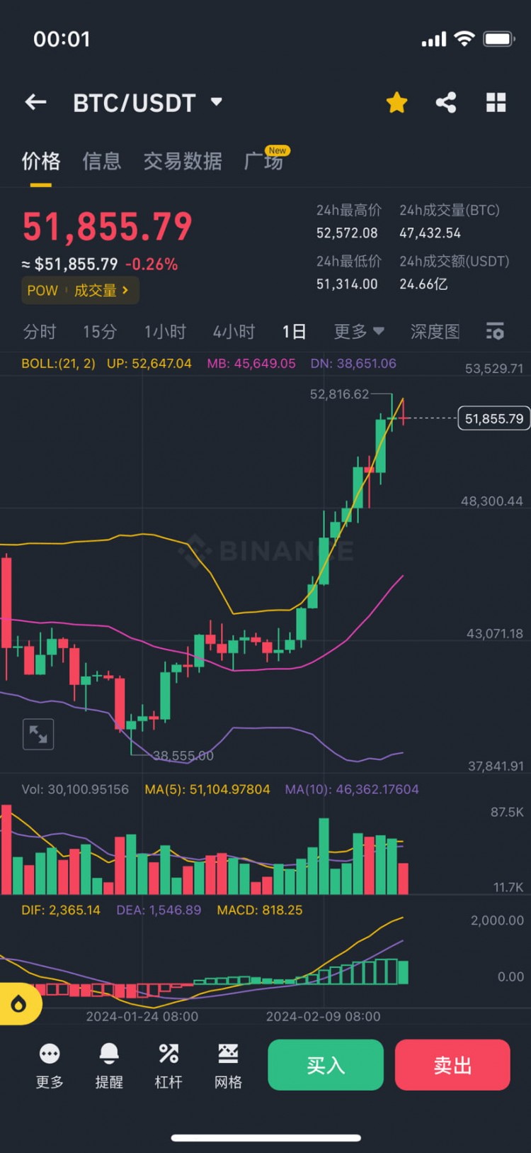 Bitcoin's Bull Market: Patience and Strategy for Long-Term Wealth