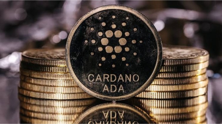 山寨币涨势中卡尔达诺下跌，ADA 能否卷土重来？