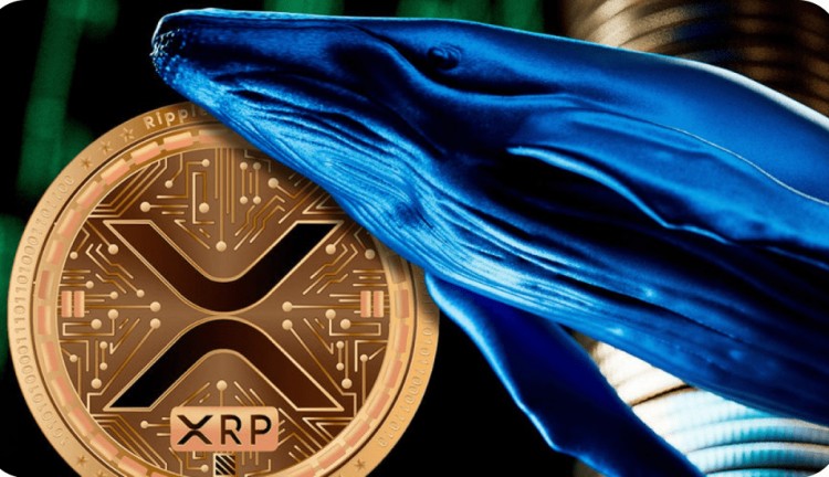 XRP 鲸鱼转移数百万，价格触及关键支撑位 完