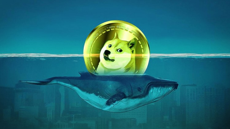 比特币冲破50,000美元大关
Brave new world of cryptocurrency