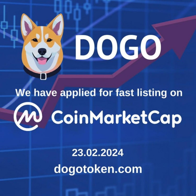 DOGOTOKENTHEPATHTO100X