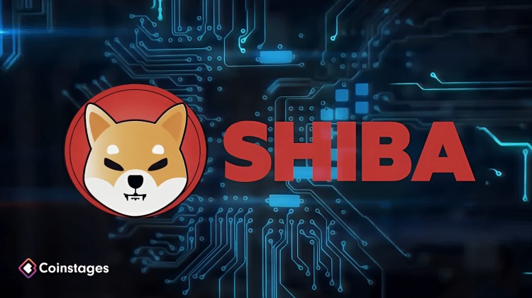 分析师称柴犬SHIB价格即将大幅突破