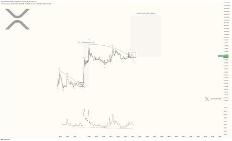 XRP 价格飙升：分析师预测将突破 200 美元