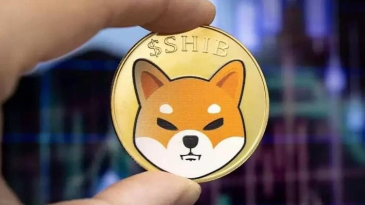 Shiba Inu 创始人发布新消息，是关于 Bull Run 的吗？