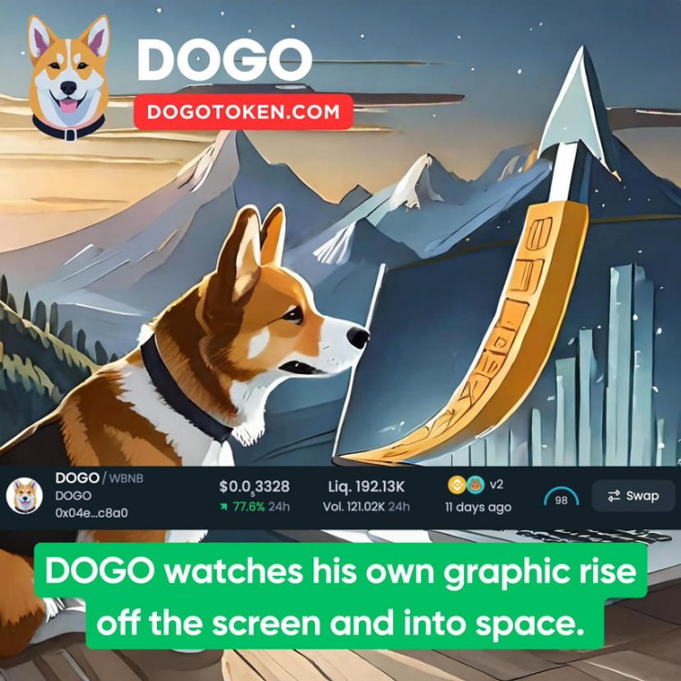 Dogo 币：赢取 $1,000,000 美元的机会！