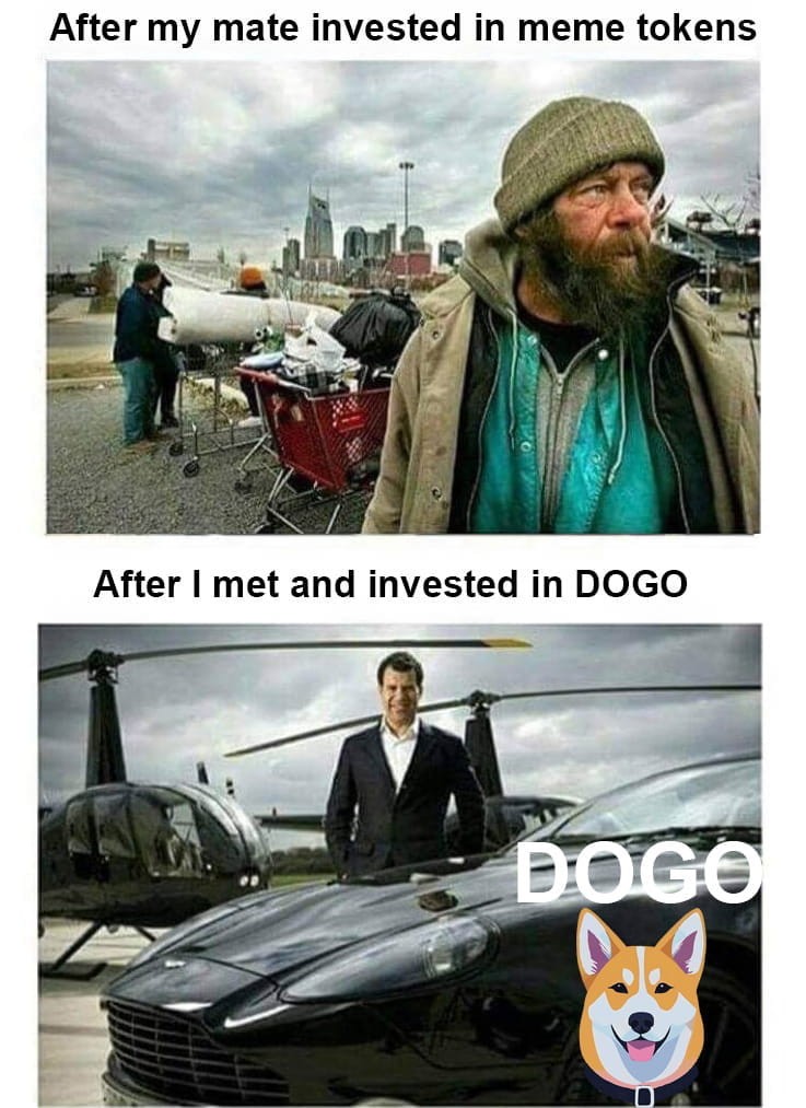 买跌预警DOGO，现在买入，赢得更多